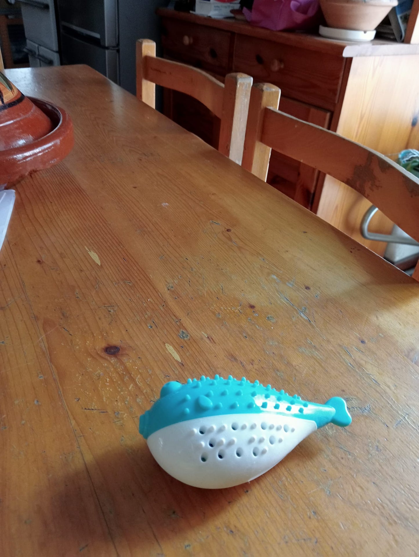 Juguete dental con cepillo y mordedor para gatos