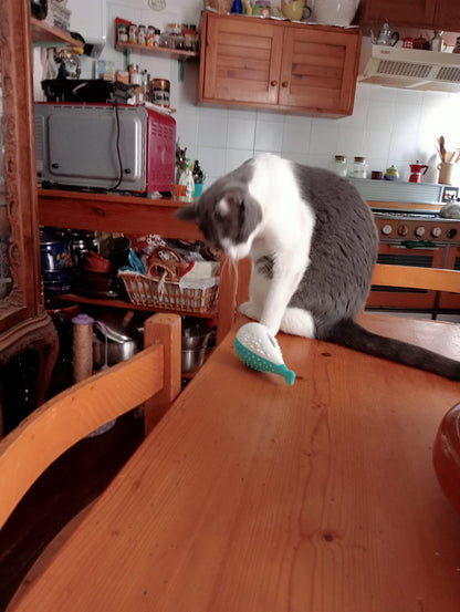 Juguete dental con cepillo y mordedor para gatos