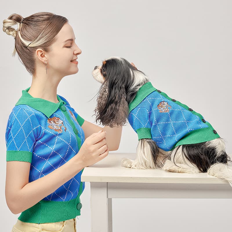 Blue Tiger Cardigan Pet Costume