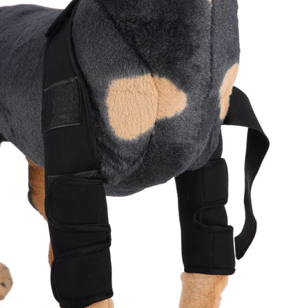 Comfortable and adjustable canine splint for pets