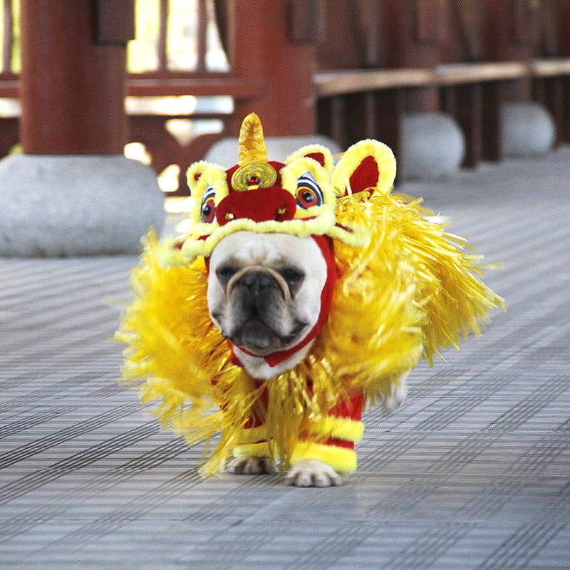 Golden Lion Pet Costume