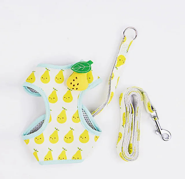 Fruit Print Cat Harness and Leash