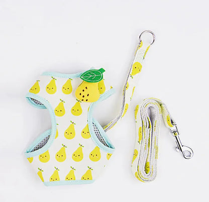 Fruit Print Cat Harness and Leash