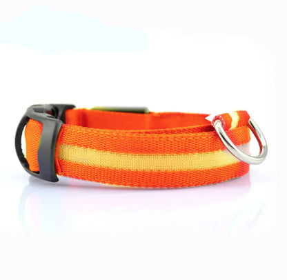 LED Safety Collar for Dogs