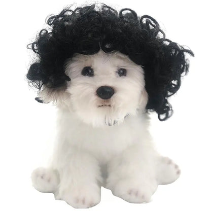 Halloween wigs for dogs and cats