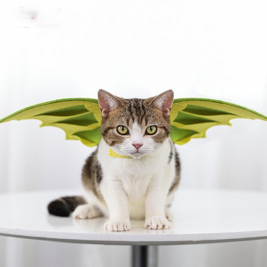 Dinosaur Wings Pet Costume