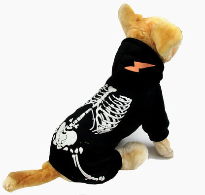 Funny Dinosaur Pet Costume