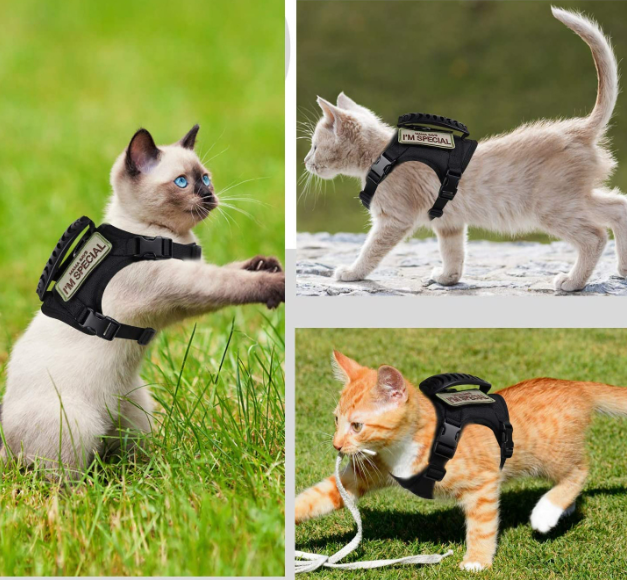 Adjustable Tactical Cat Vest with Leash