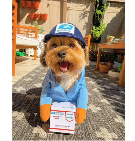 Delivery Man Pet Costume