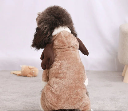Animal Costumes for Pets - Various Models