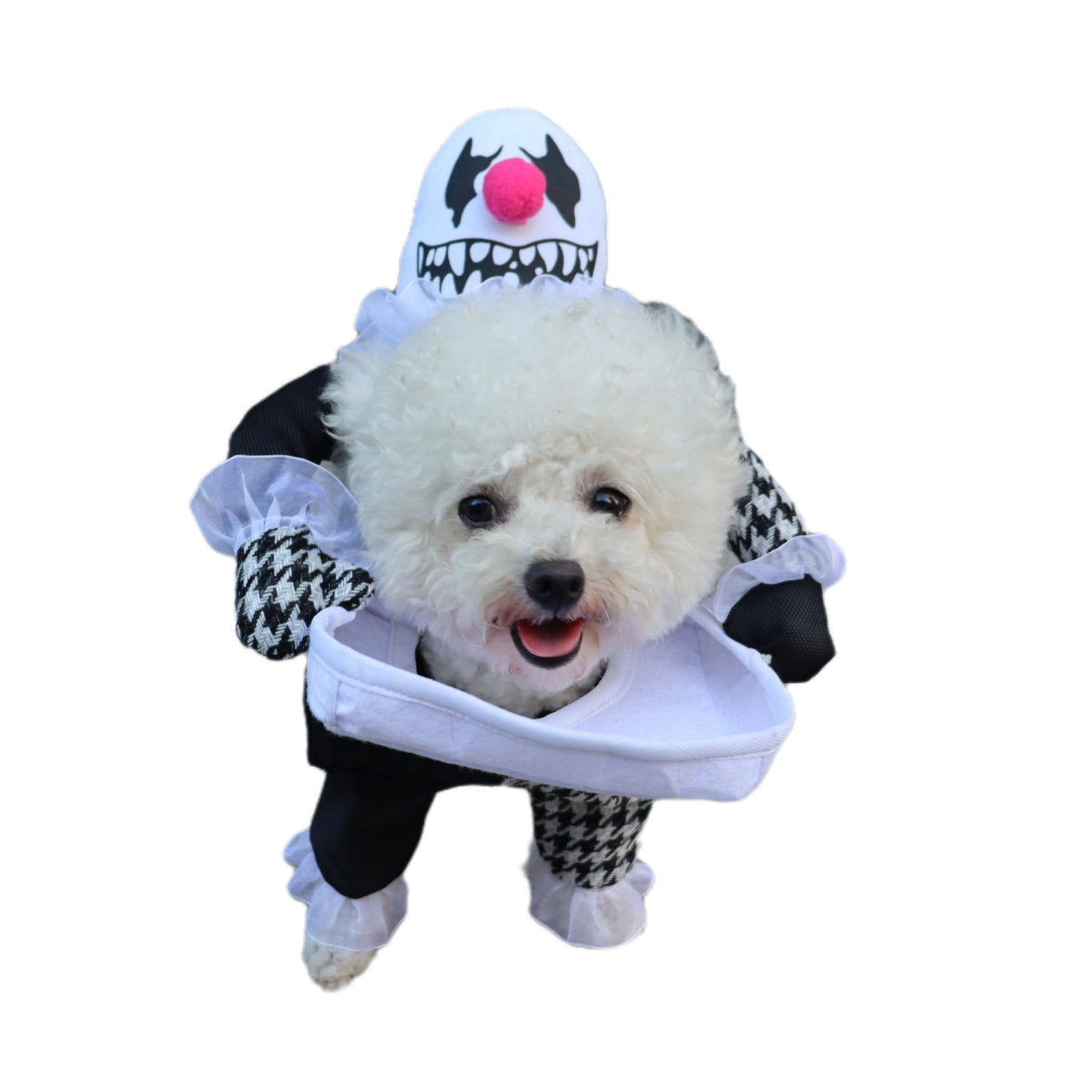 Fantastic Halloween costume for pets