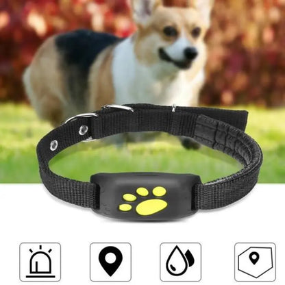 GPS tracker for pets