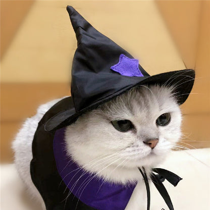Satin Wizard Pet Costume