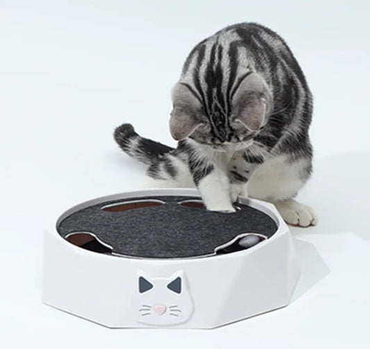 Motion toy for cats