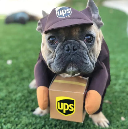 Delivery Man Pet Costume