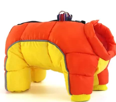 Padded Winter Coat for Dogs