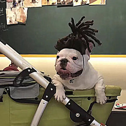 Halloween wigs for dogs and cats