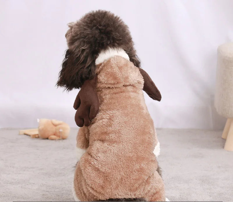 Animal Costumes for Pets - Various Models