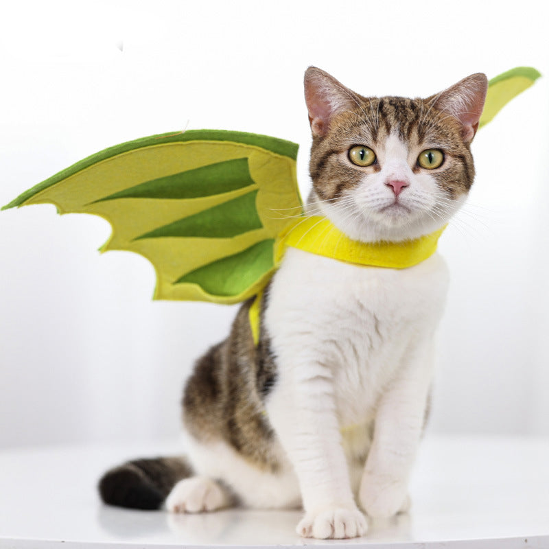Dinosaur Wings Pet Costume