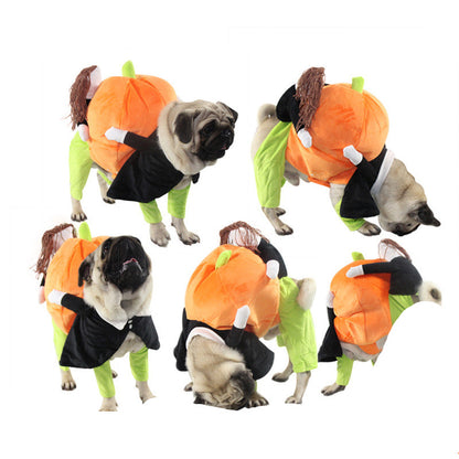 Pumpkin Pet Costume