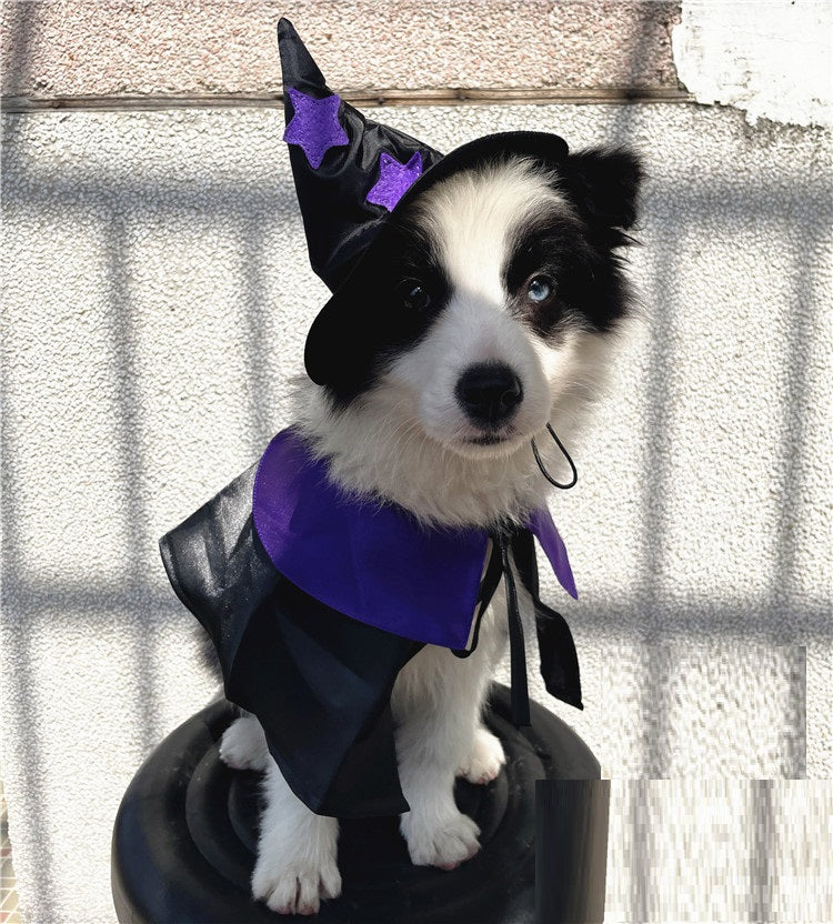 Satin Wizard Pet Costume