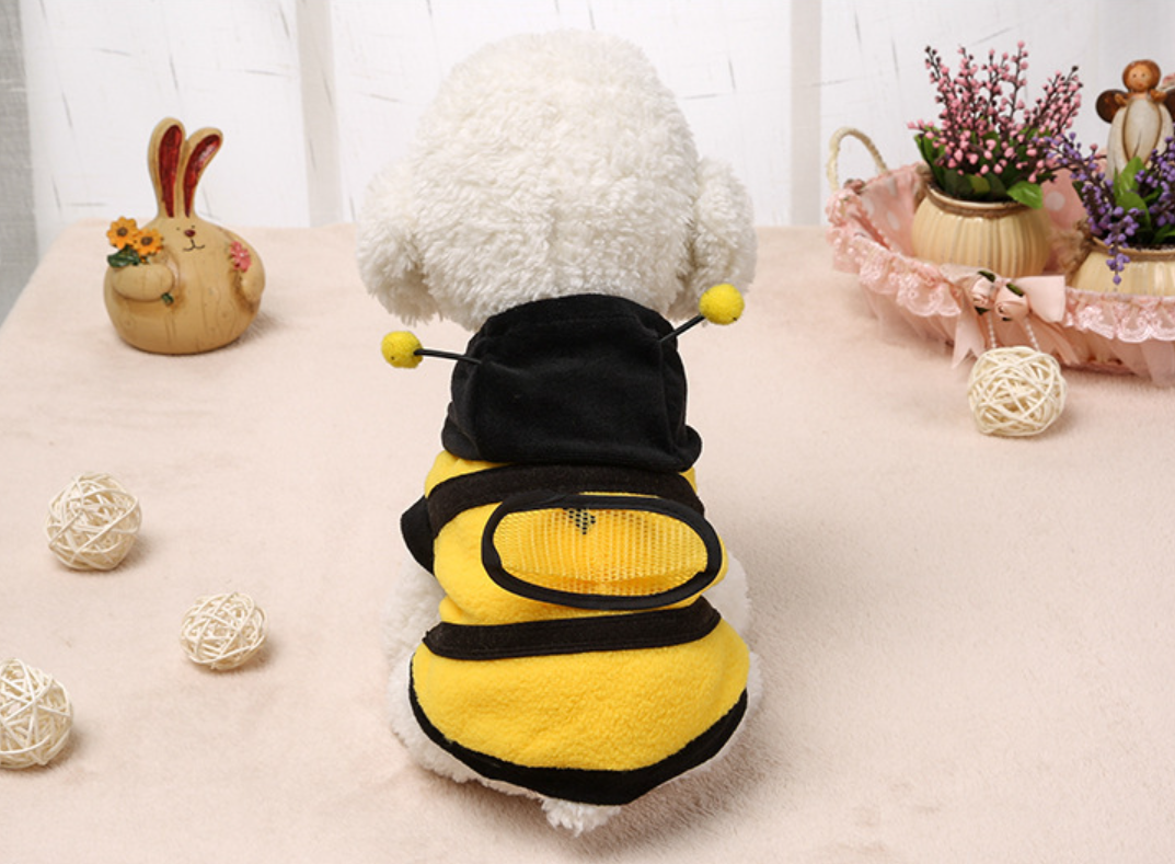 Bee Costume for Cats and Dogs