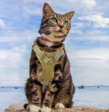 Adjustable Tactical Cat Vest with Leash