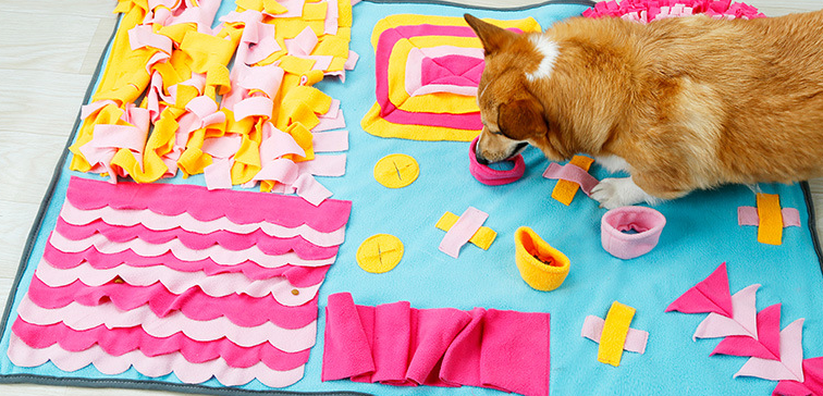 Alfombra Snuffle  Interactiva para Mascotas