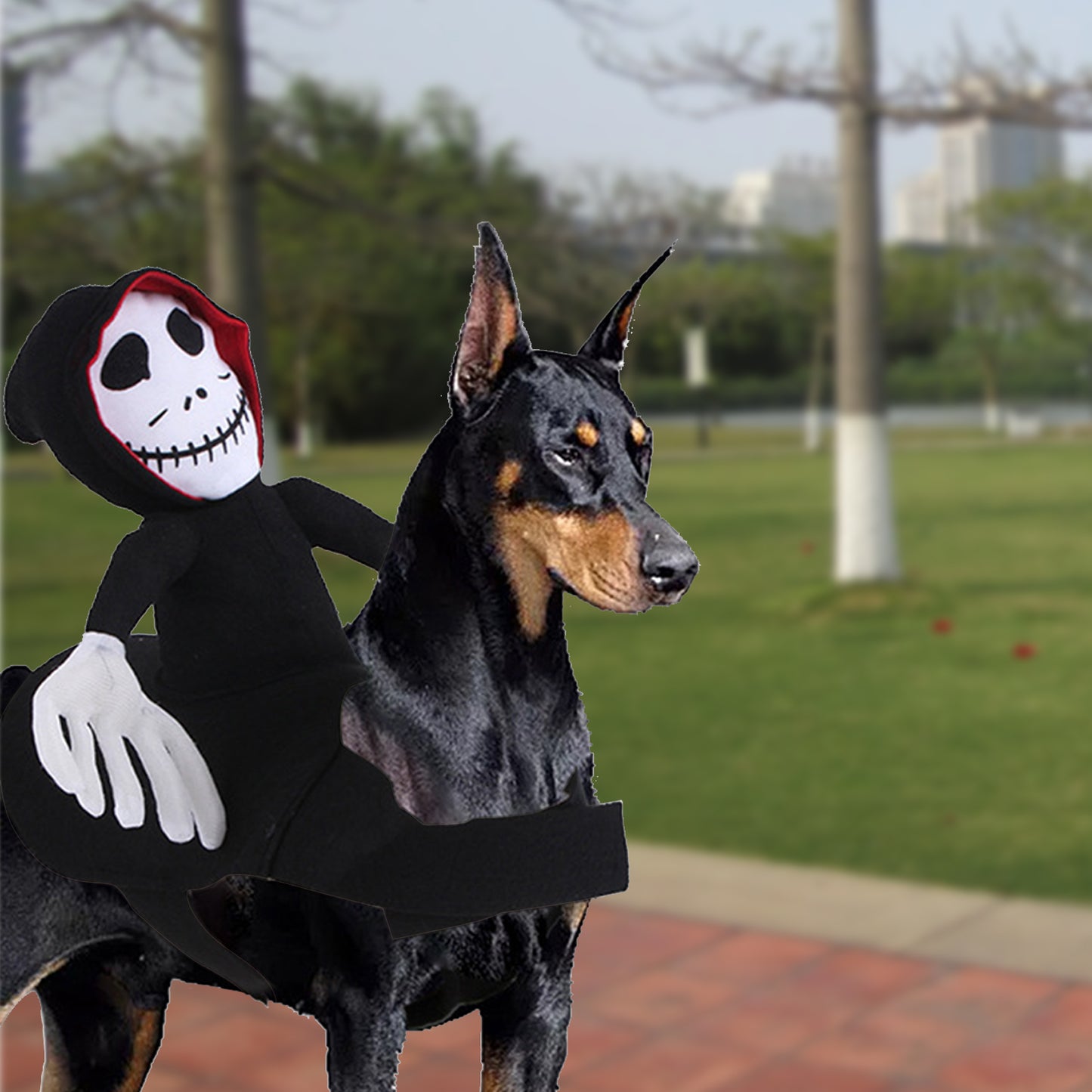 Elf Costume for Riding