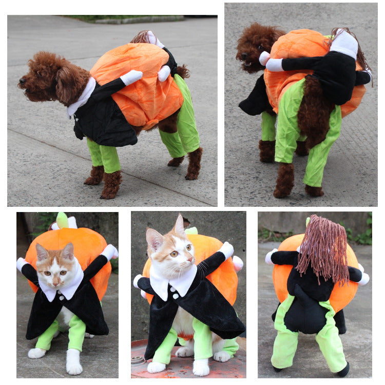 Pumpkin Pet Costume