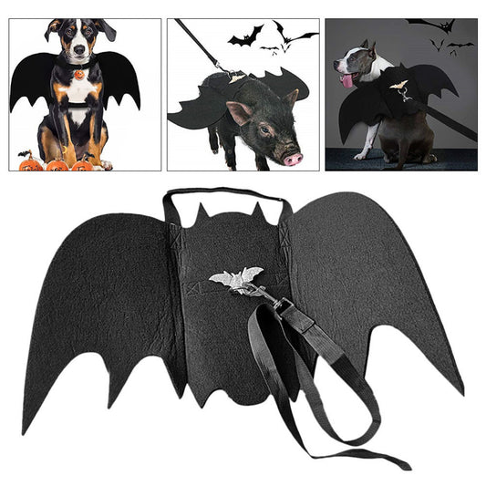 Bat Wings Pet Costume