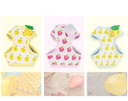 Fruit Print Cat Harness and Leash