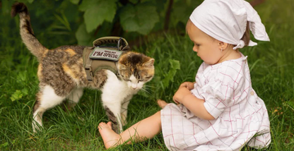 Adjustable Tactical Cat Vest with Leash