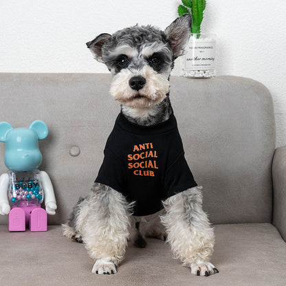 Modern Summer Clothes for Pets