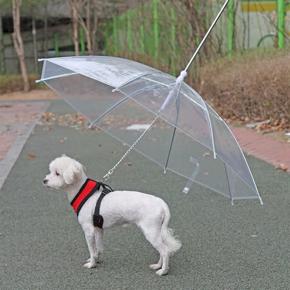 Dog umbrella with built-in leash