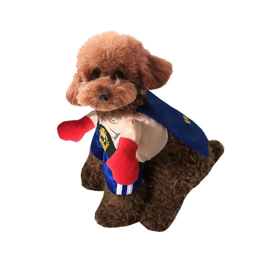 Boxer Style Dog Costume