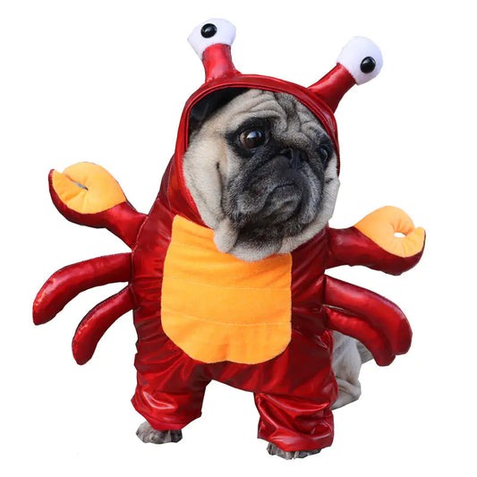 Crab Style Dog Costume