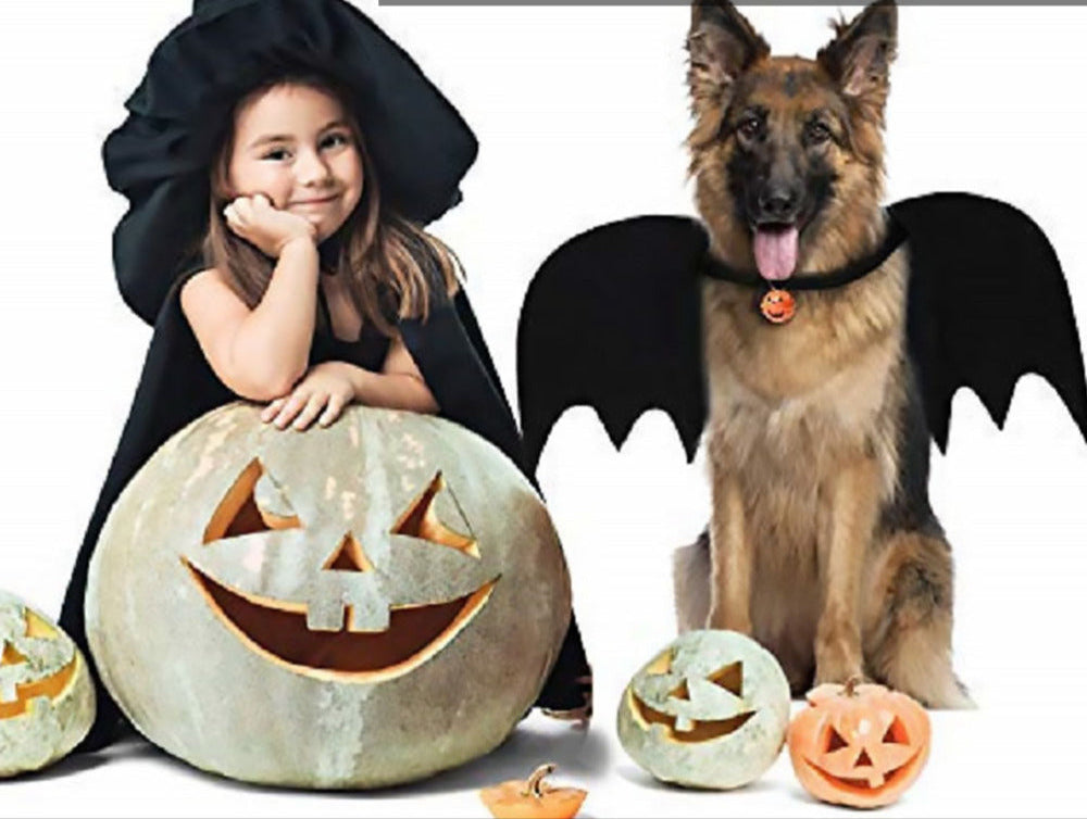 Bat Wings Pet Costume