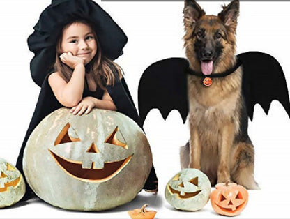 Bat Wings Pet Costume