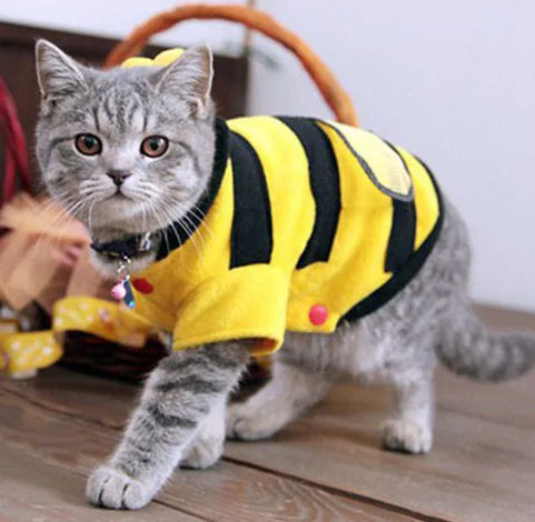 Bee Costume for Cats and Dogs