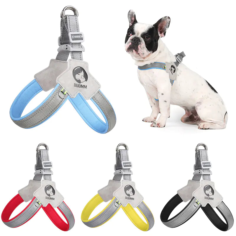 Reflective Safety Vest for Small and Medium Dogs