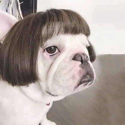 Halloween wigs for dogs and cats
