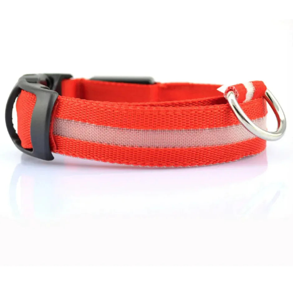 LED Safety Collar for Dogs