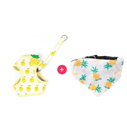 Fruit Print Cat Harness and Leash
