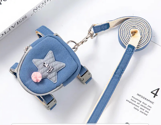 Harness with Leash and Backpack