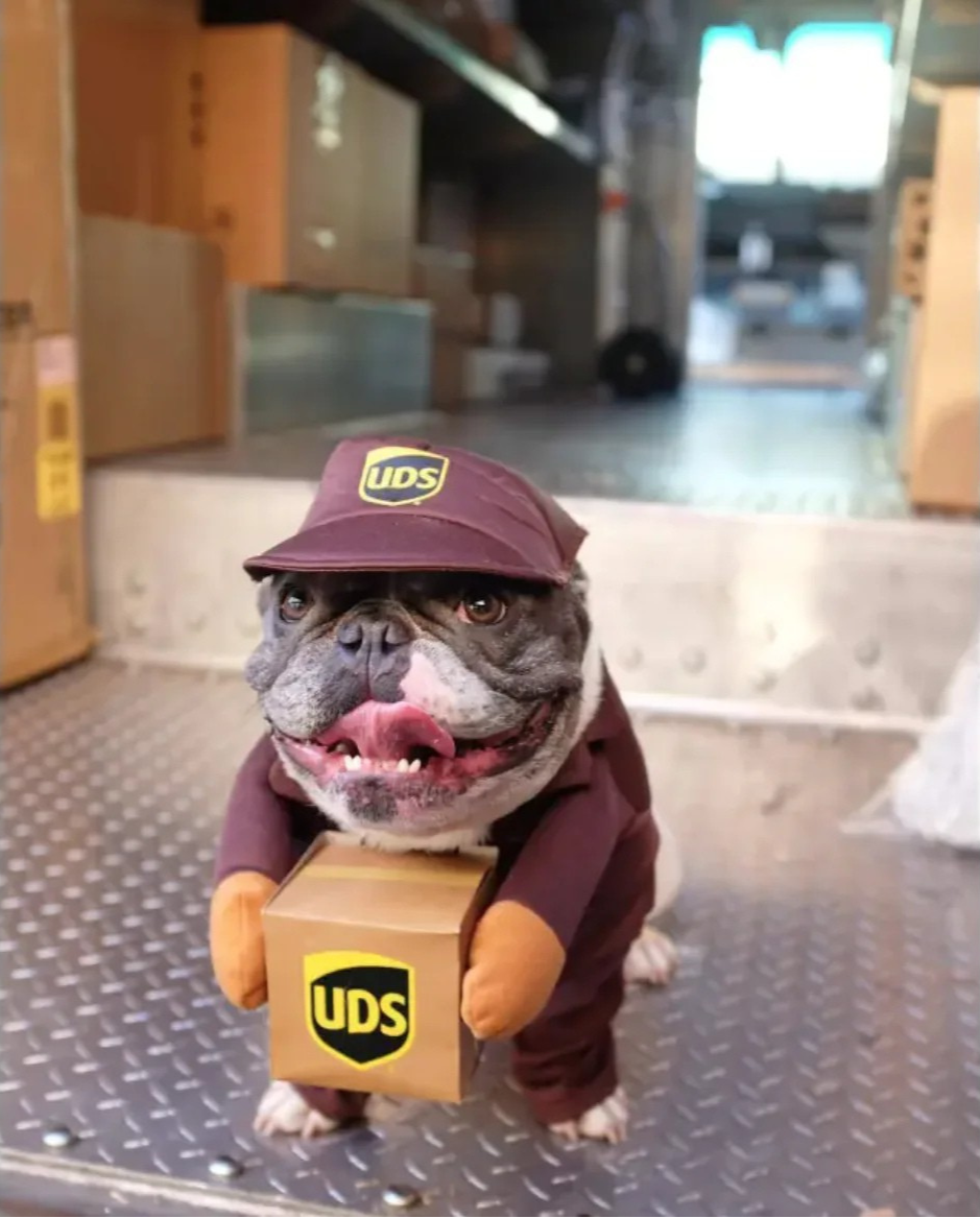 Disfraz de Repartidor para Mascotas