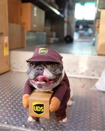 Disfraz de Repartidor para Mascotas