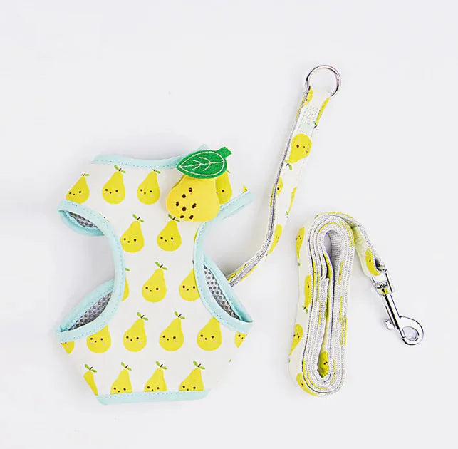 Fruit Print Cat Harness and Leash