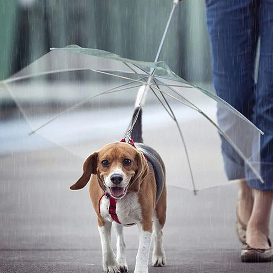 Dog umbrella with built-in leash