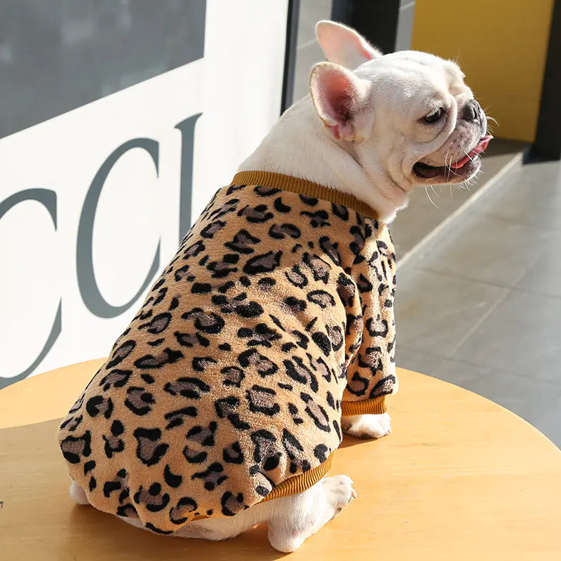 Warm Puppy Jacket